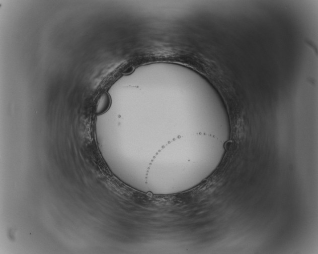 X0000103451205200809261809