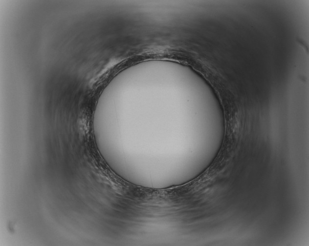 X0000103451206200809261809