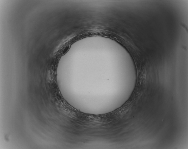 X0000103451207200809261809