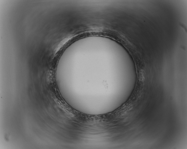 X0000103451208200809261809