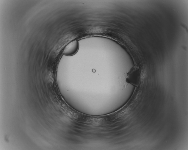 X0000103451209200809261809