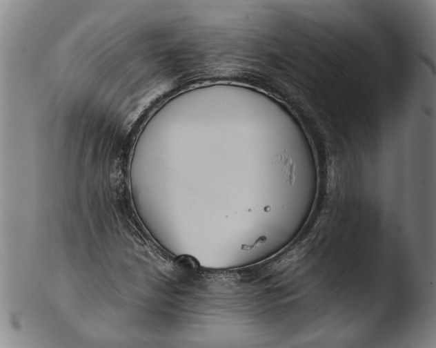 X0000103451210200809261809