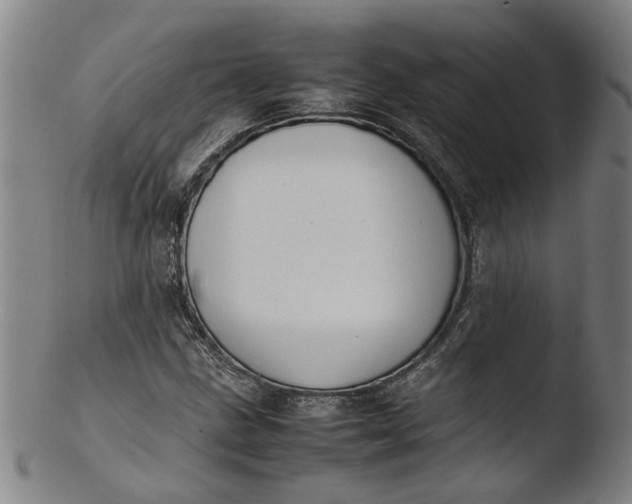 X0000103451211200809261809