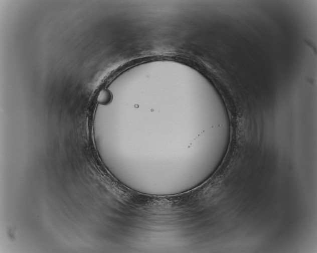 X0000103451214200809261809