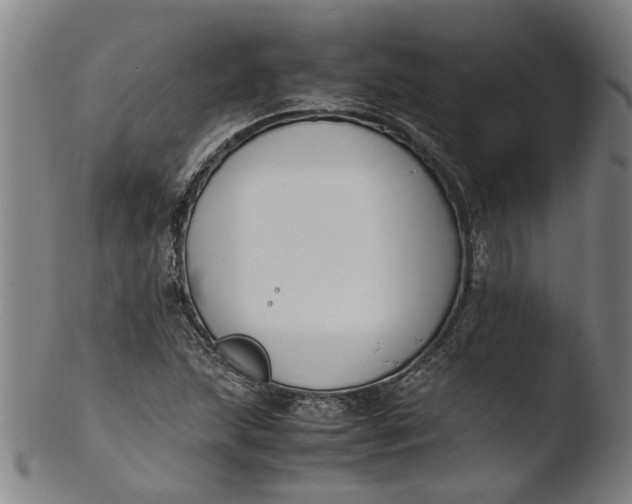 X0000103451215200809261809