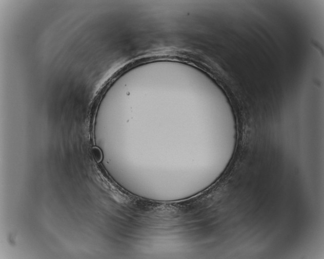 X0000103451216200809261809