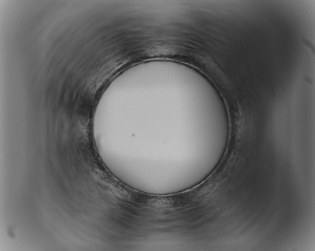 X0000103451217200809261809