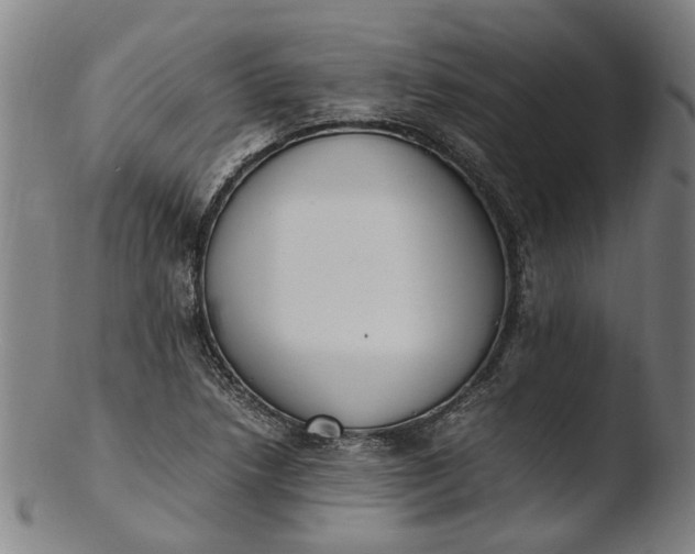 X0000103451218200809261809