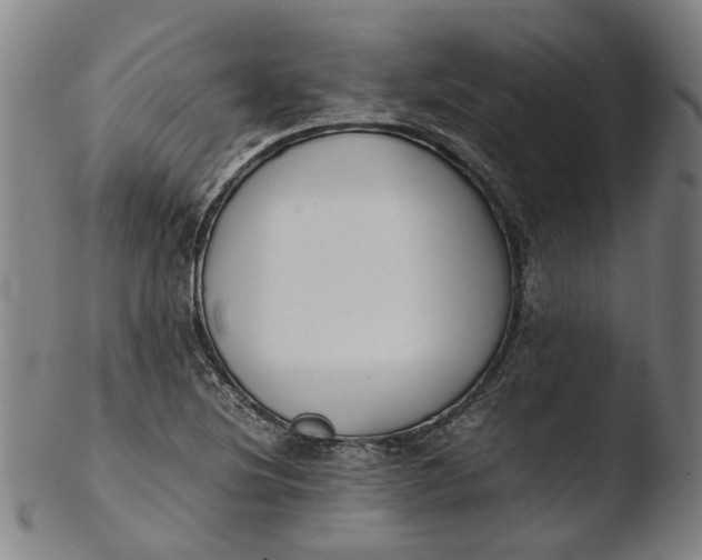 X0000103451220200809261809