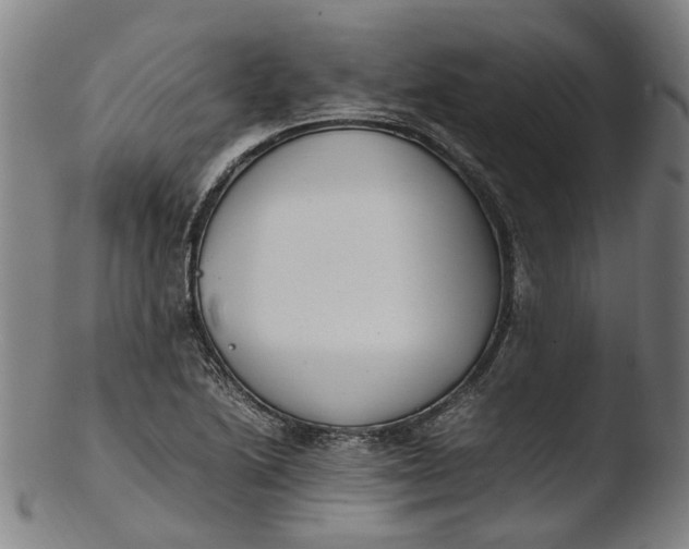 X0000103451222200809261809