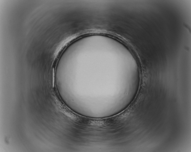 X0000103451223200809261809