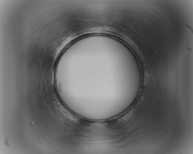 X0000103451224200809261809