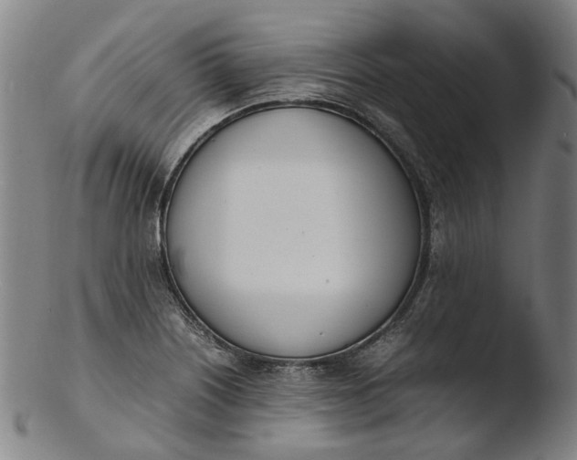 X0000103451226200809261809