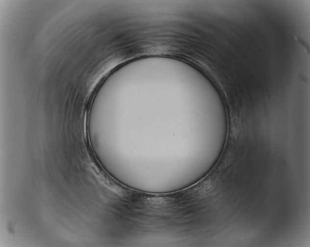 X0000103451227200809261809