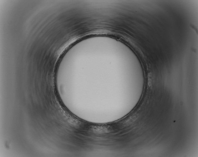 X0000103451229200809261809