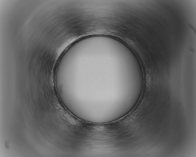 X0000103451230200809261809