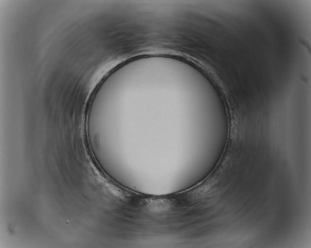 X0000103451231200809261809