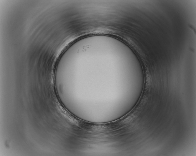 X0000103451232200809261809