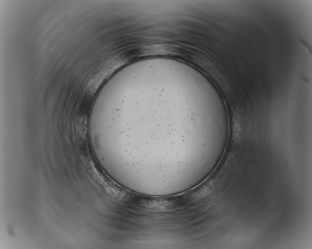 X0000103451233200809261809