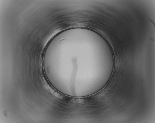 X0000103451235200809261809