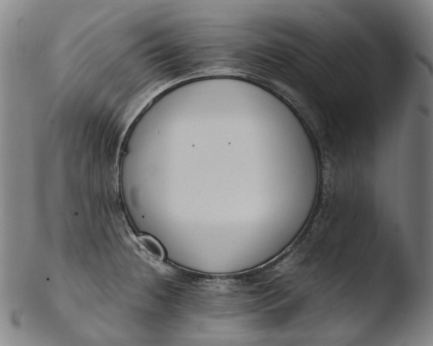 X0000103451236200809261809