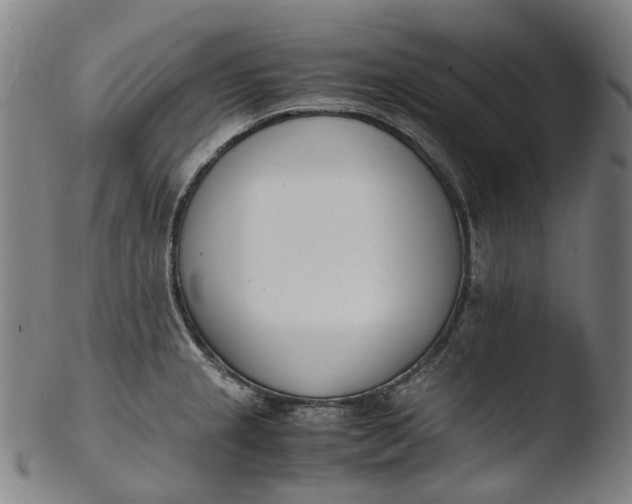 X0000103451237200809261809