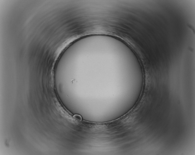 X0000103451238200809261809