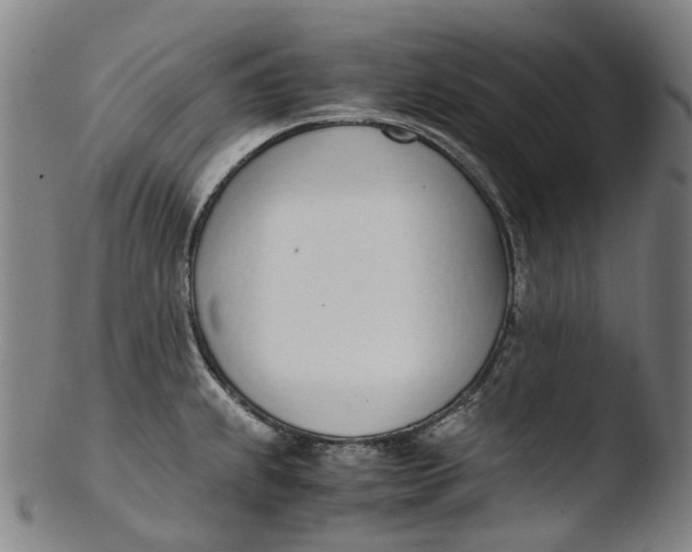 X0000103451239200809261809