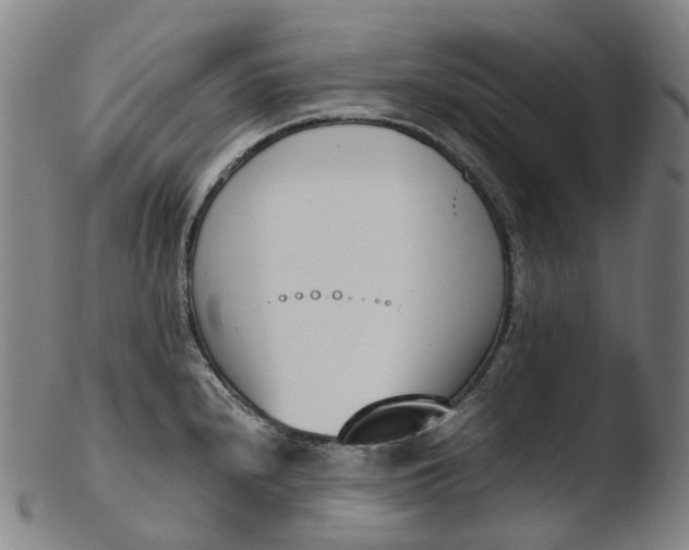 X0000103451240200809261809