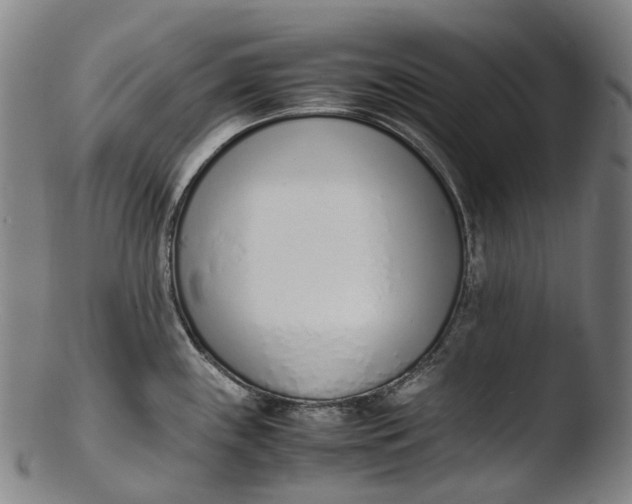 X0000103451243200809261809