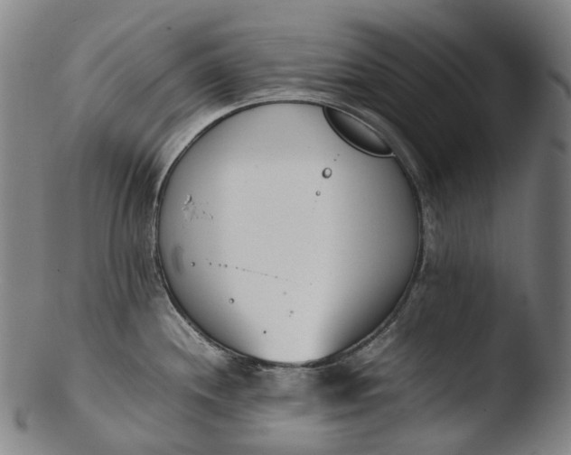 X0000103451244200809261809