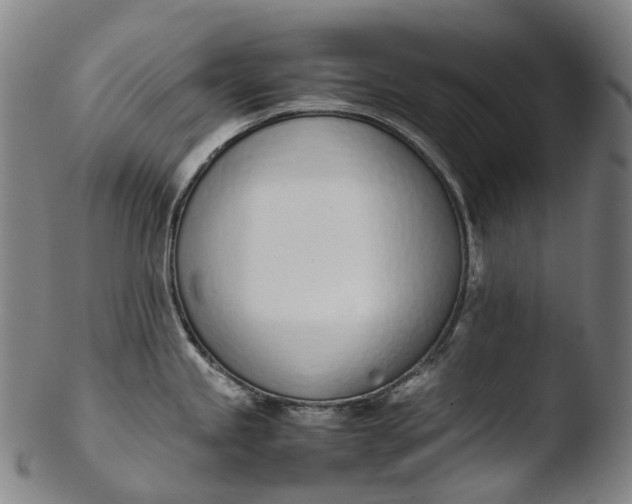 X0000103451245200809261809