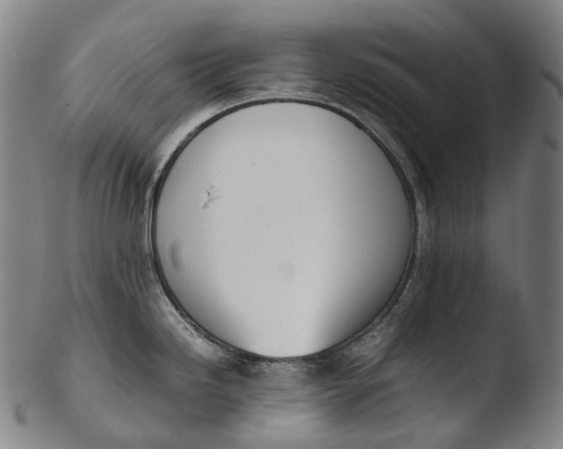 X0000103451246200809261809