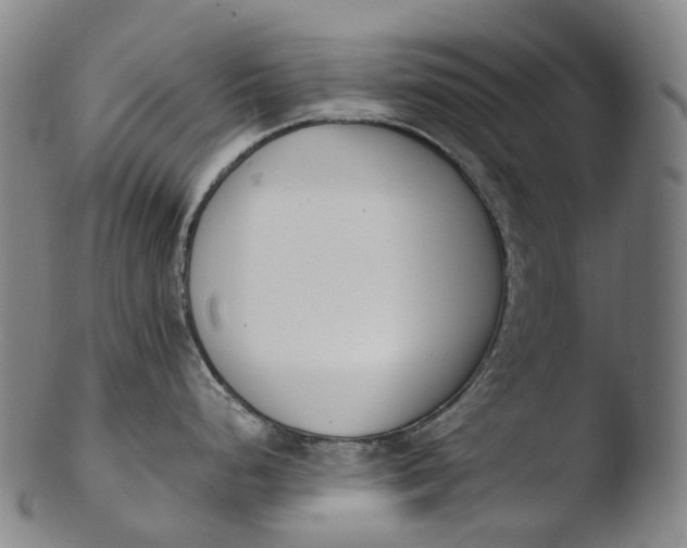 X0000103451248200809261809