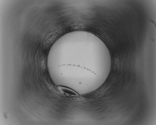 X0000103451250200809261809