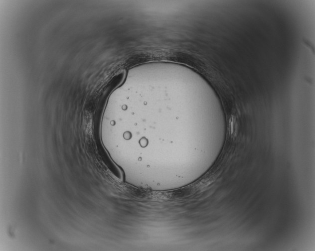 X0000103451251200809261808