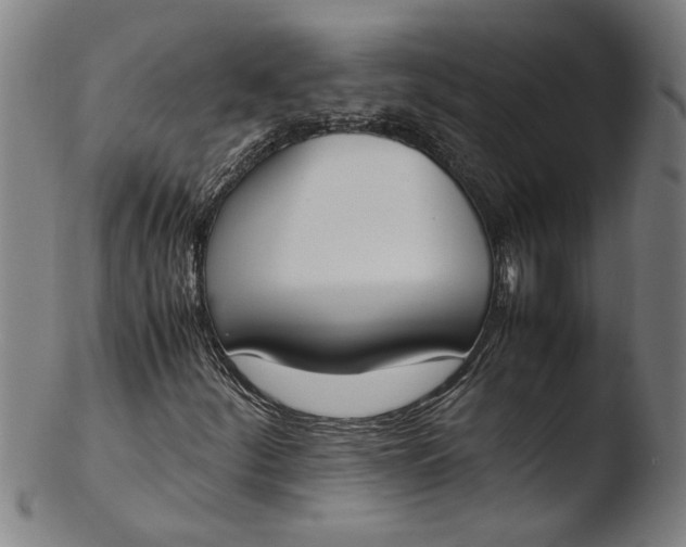 X0000103451252200809261808