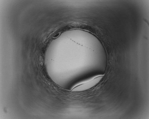 X0000103451253200809261808