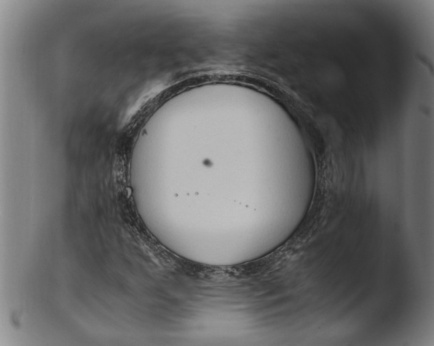 X0000103451255200809261808