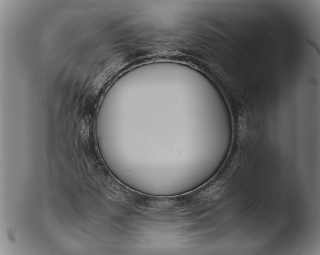 X0000103451257200809261808