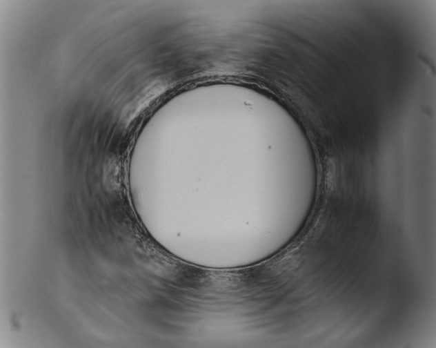 X0000103451258200809261808