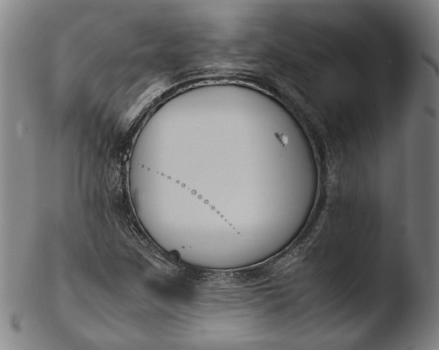 X0000103451259200809261808