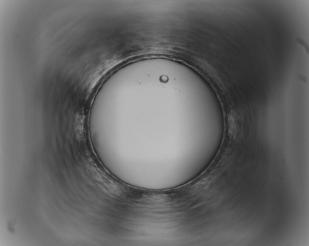 X0000103451260200809261808