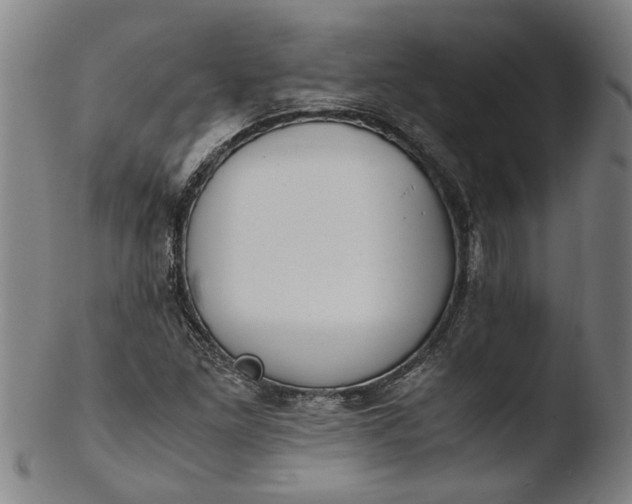 X0000103451261200809261808