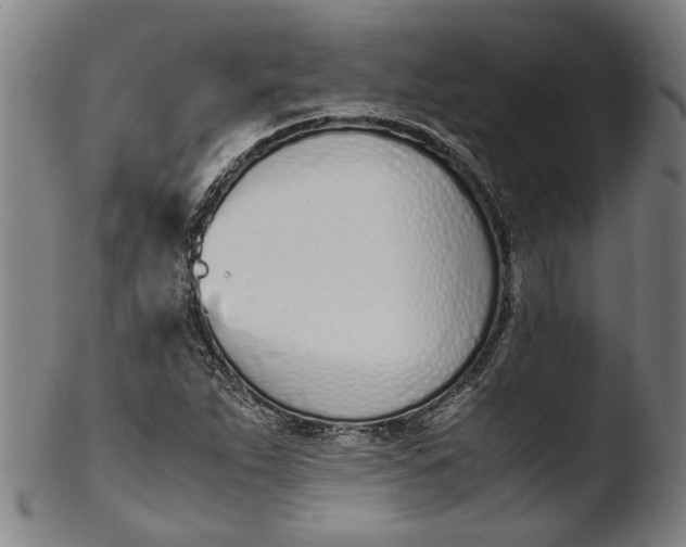 X0000103451263200809261808