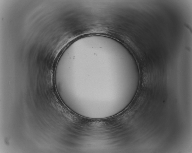 X0000103451268200809261808