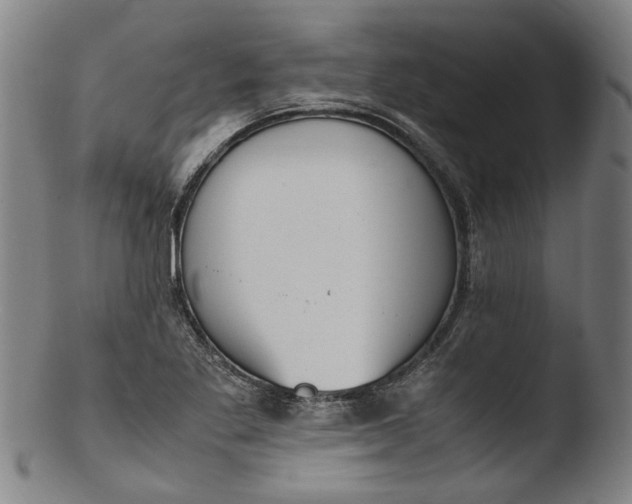 X0000103451269200809261808