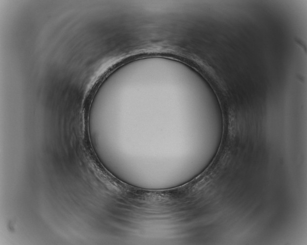 X0000103451270200809261808