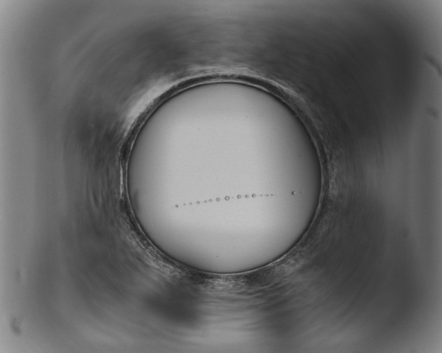 X0000103451271200809261808