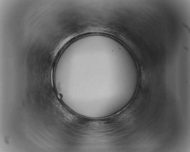 X0000103451272200809261808